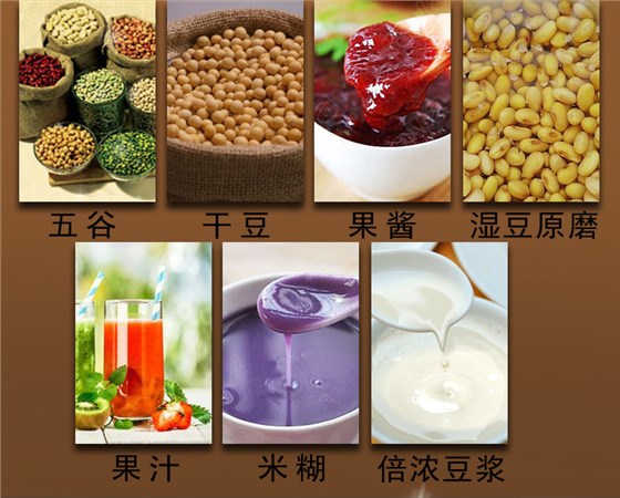 110V伏九阳豆浆机出国专用果汁五谷倍浓豆将机DJ13M-D08SG