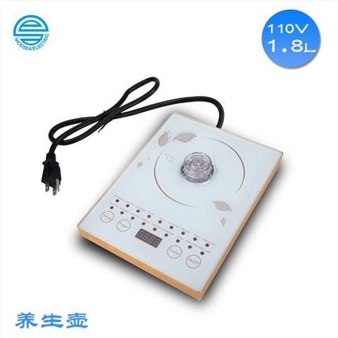 110V伏养生壶出国专用多功能中药壶