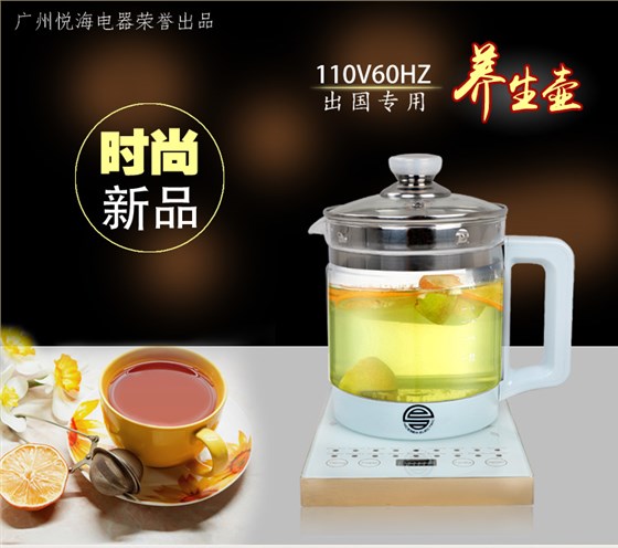 悦海110V60HZ养生壶出国专用多功能中药壶NSHP-18